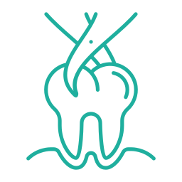extraccion dental